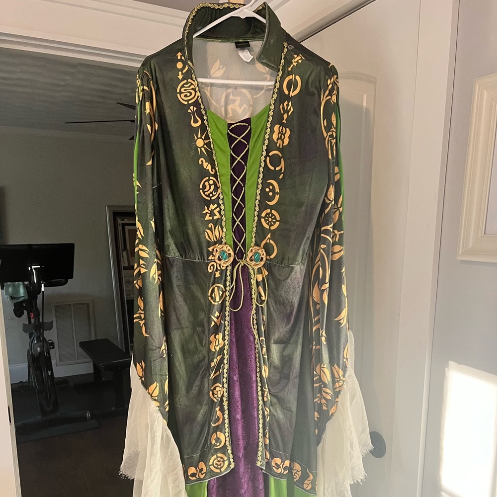Hocus Pocus Winnifred Sanderson Halloween Costume